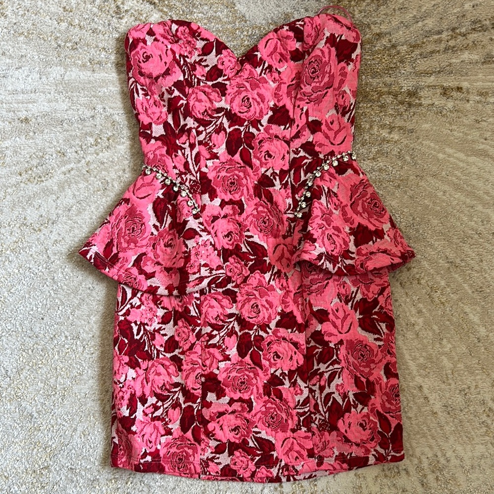 Zara Pink and Red Floral Strapless Dress